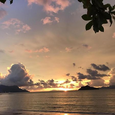 Labu Labi Residence Langkawi Eksteriør billede